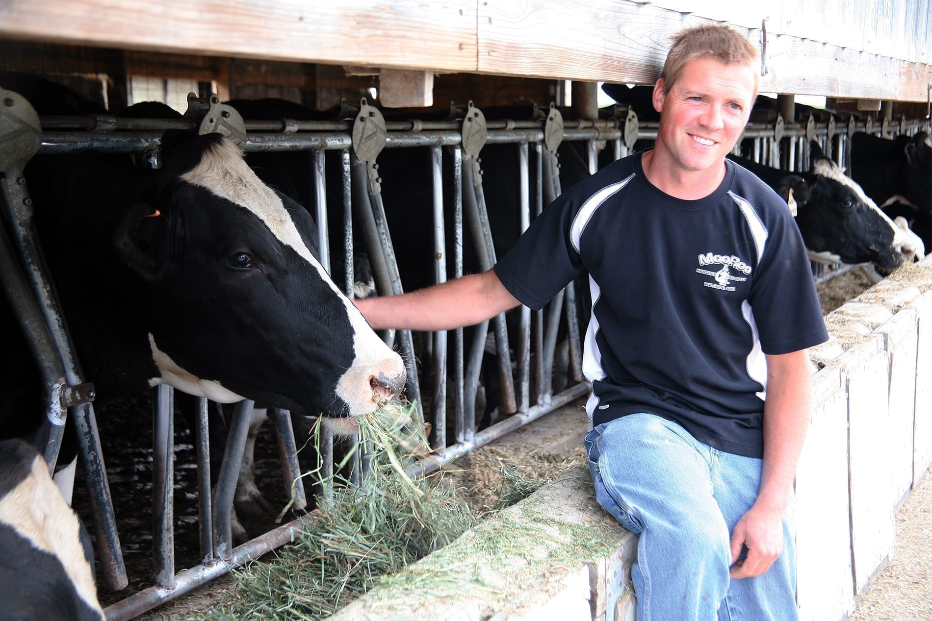 Blake Hansen takes care of the Holstein and Wagyu herd