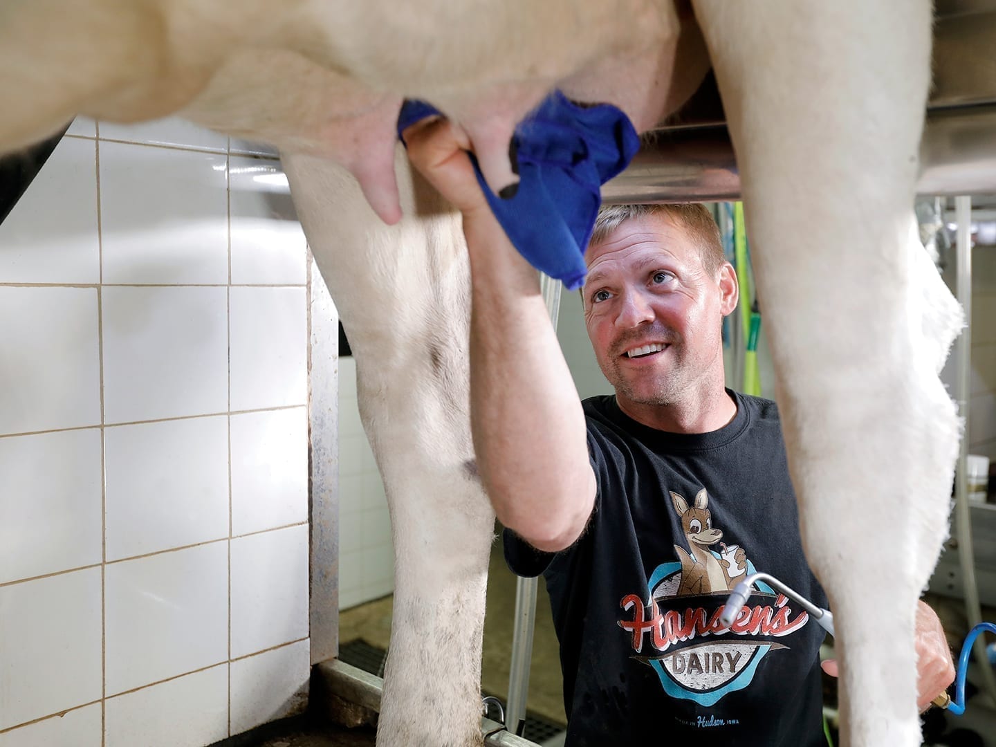 Hansen_Dairy_milking_cows