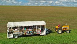 Hansen's Dairy trolley driving tour across open field