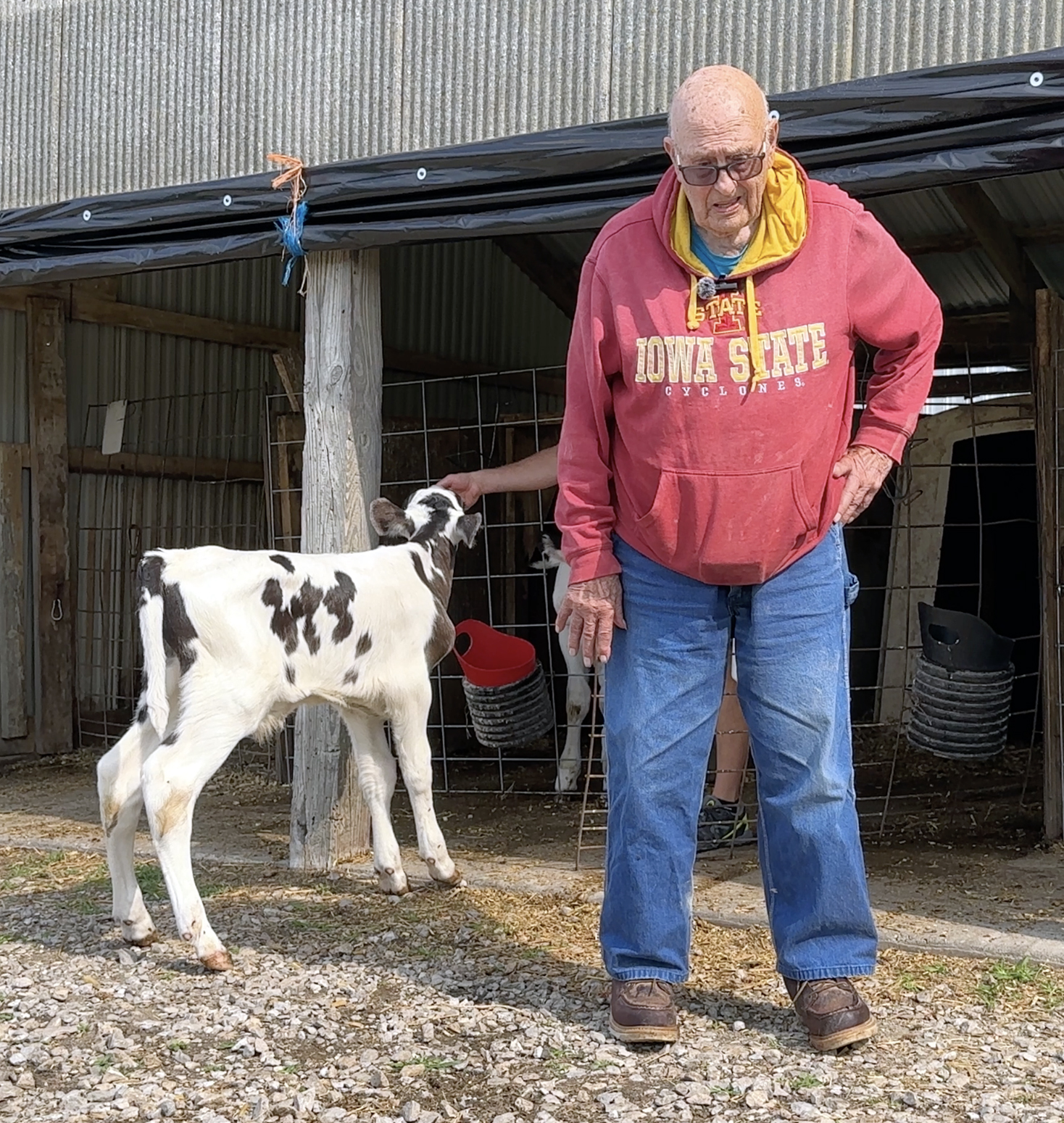 Hadwen Kleiss with bull calf Superman