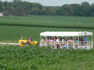 The trolley making its way to the farm for a tour.